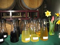Heron Hill Wine Club barrrel samples